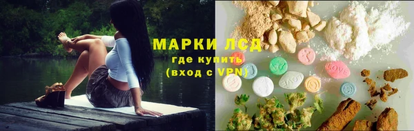 ГАЛЛЮЦИНОГЕННЫЕ ГРИБЫ Осташков