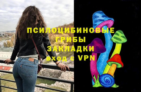 ГАЛЛЮЦИНОГЕННЫЕ ГРИБЫ Осташков