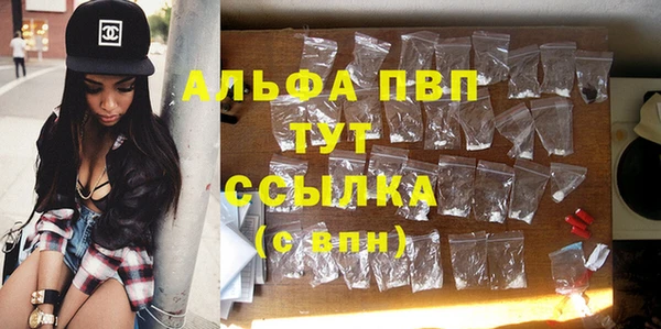 ГАЛЛЮЦИНОГЕННЫЕ ГРИБЫ Осташков