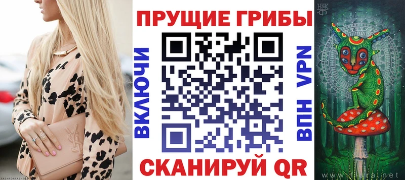 Купить  Рузаевка  Псилоцибиновые грибы GOLDEN TEACHER 